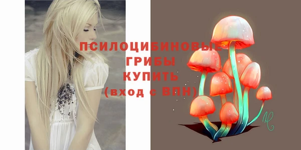 2c-b Балабаново