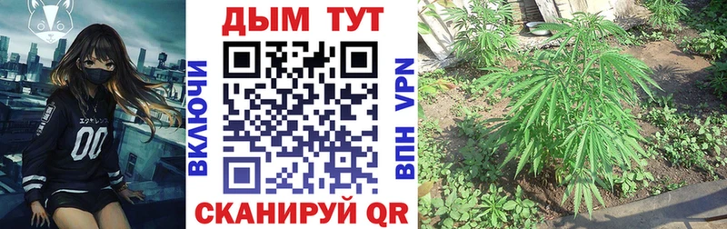 сколько стоит  Кушва  Каннабис марихуана 